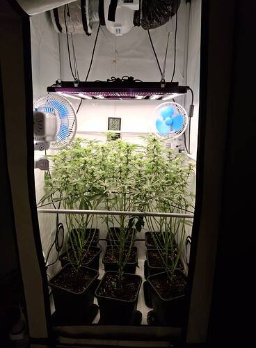 Growreport Bild 4