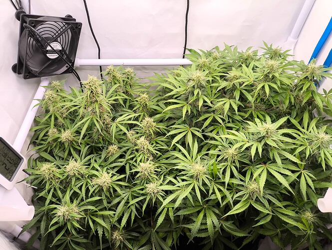 Growreport Bild 8