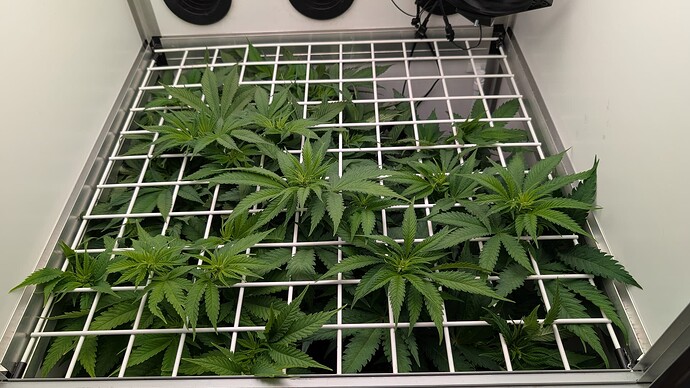 Growreport Bild 9