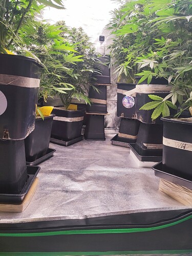 Growreport Bild 7