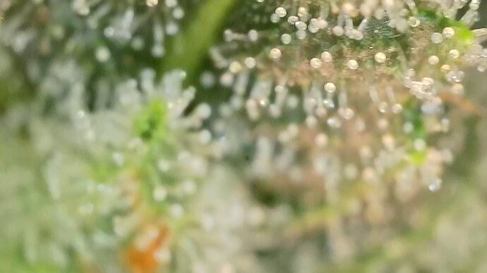 Growreport Bild 24