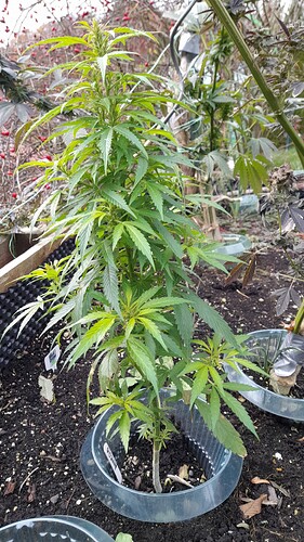 Growreport Bild 8
