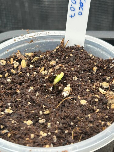 Growreport Bild 93