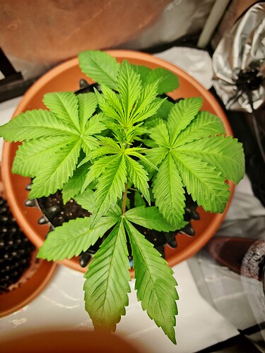 Growreport Bild 15