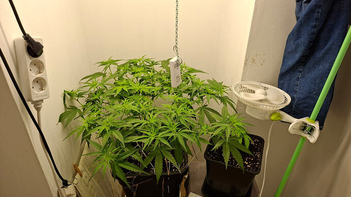 Growreport Bild 201