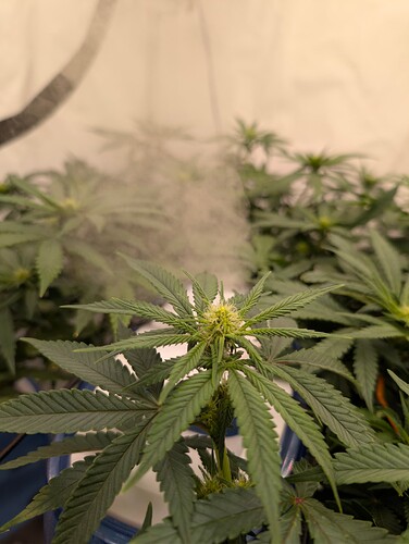 PXL_20250723_161140213.RAW-01.COVER