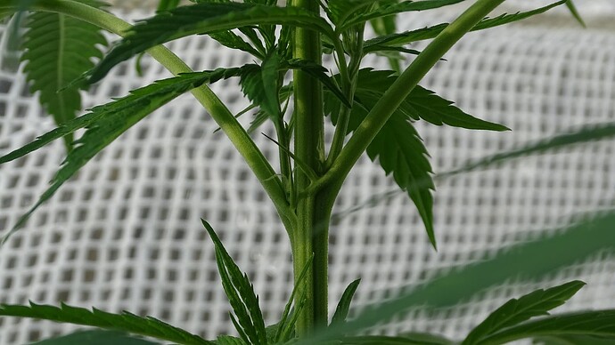 Growreport Bild 13