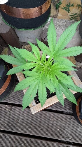 Growreport Bild 21