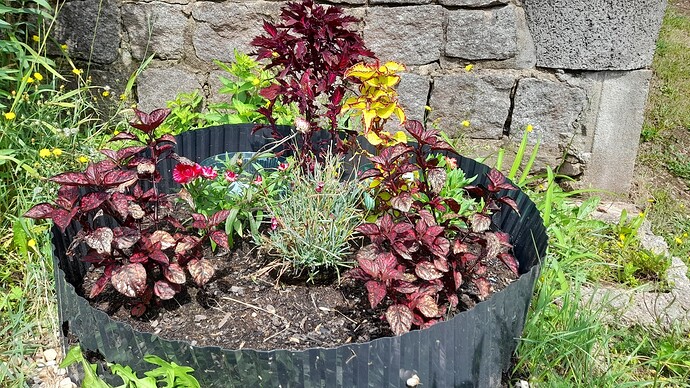 Growreport Bild 42