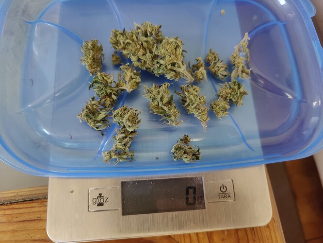 Growreport Bild 18