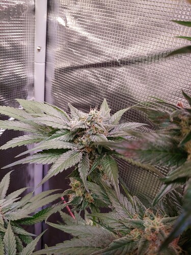 Growreport Bild 15