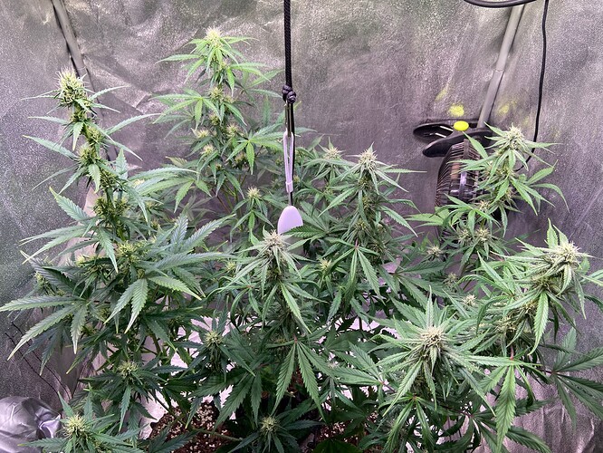 Growreport Bild 12