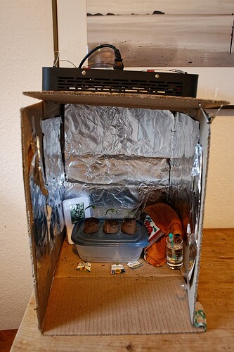 IMG_0428Tag 7-6-5
