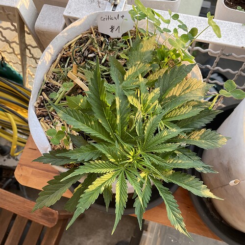 Growreport Bild 11