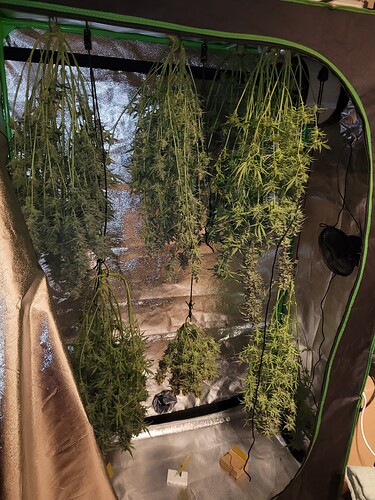 Growreport Bild 4