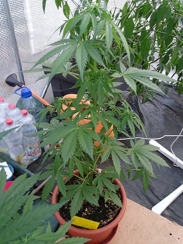 Growreport Bild 12