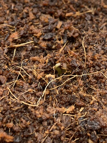 Growreport Bild 4