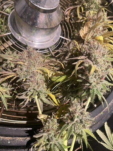 Growreport Bild 8