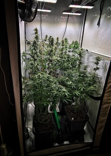 Growreport Bild 2