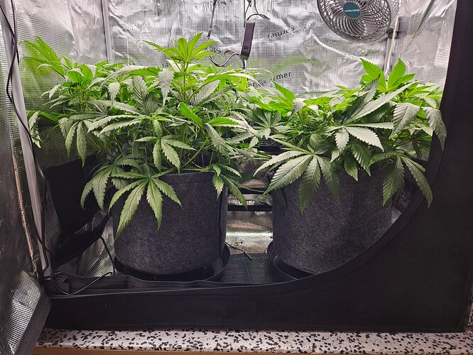 Growreport Bild 13