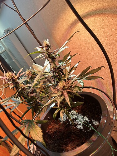 Growreport Bild 22