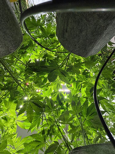 Growreport Bild 23