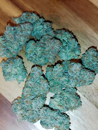Mehrere hellgrüne, harzige Cannabis-Buds liegen auf einer Holzoberfläche.