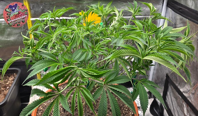 Growreport Bild 10
