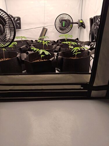 Growreport Bild 18