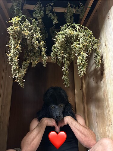Growreport Bild 8