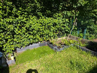 PXL_20250509_143407321