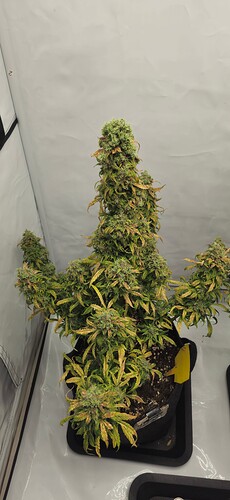 Growreport Bild 22