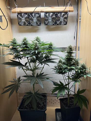 Growreport Bild 1