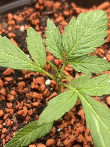 Growreport Bild 15