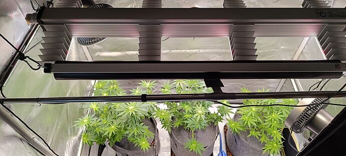 Growreport Bild 8