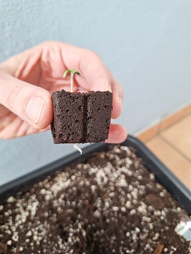 Growreport Bild 6