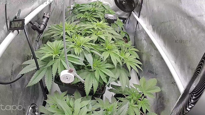 Growreport Bild 4
