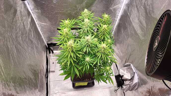 Growreport Bild 8