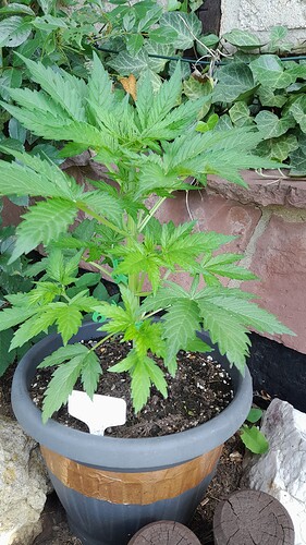 Growreport Bild 28