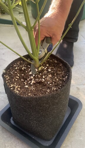 Growreport Bild 46