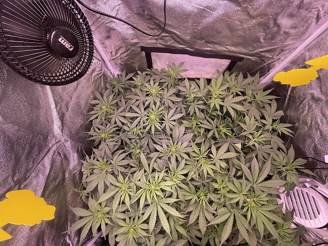 Growreport Bild 11