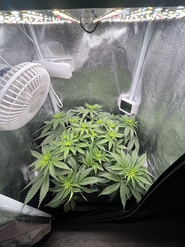 Growreport Bild 10