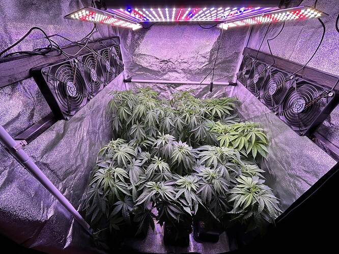 Growreport Bild 4