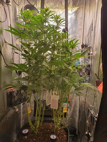 Growreport Bild 9