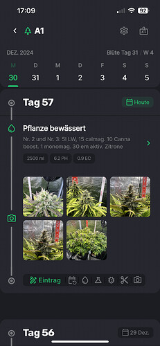 Growreport Bild 15