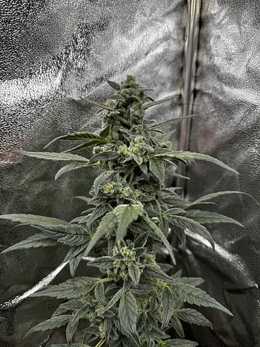 20240602_074305295_iOS