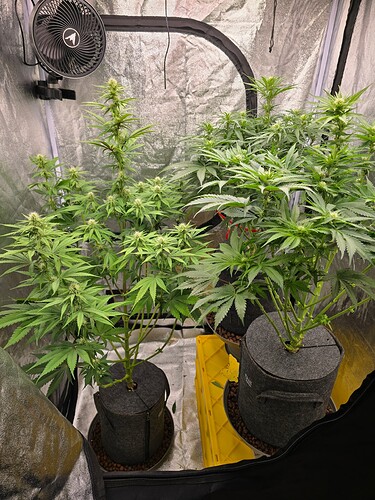 Growreport Bild 2