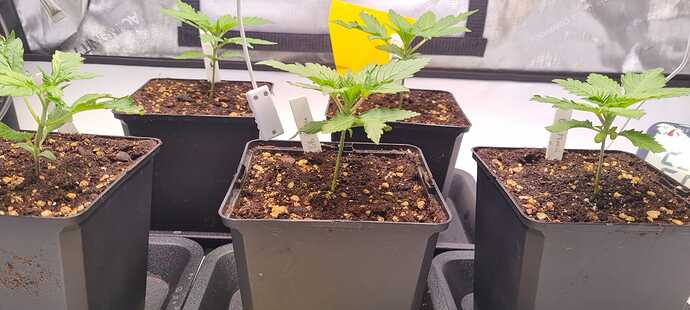 WhatsApp Image 2024-11-06 at 18.30.44