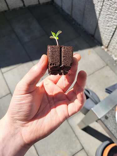 WhatsApp Image 2024-07-24 at 17.04.32