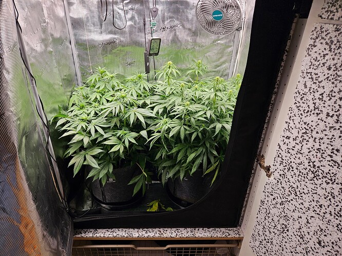 Growreport Bild 8